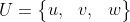 U = \\begin{Bmatrix} u, & v, & w \\end{Bmatrix}